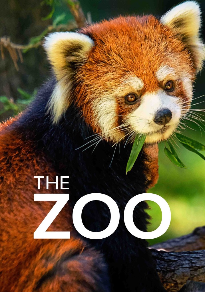 The Zoo Season 4 watch full episodes streaming online